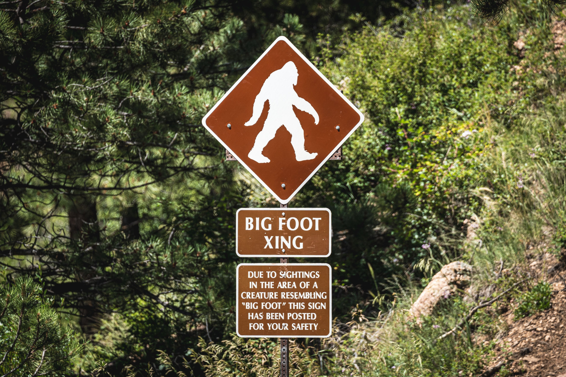 Mysterious Footprints: Following the Trail of Bigfoot